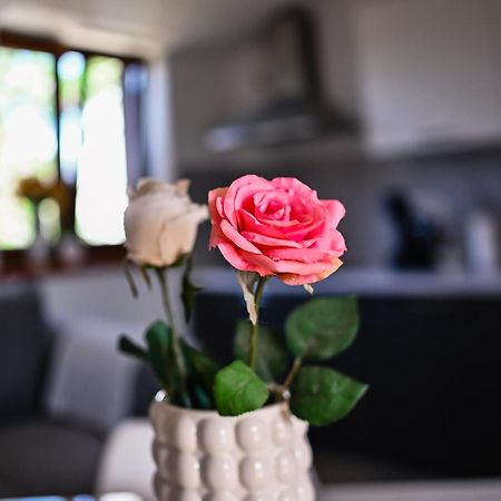 Apartment Barbara Bibinje Εξωτερικό φωτογραφία