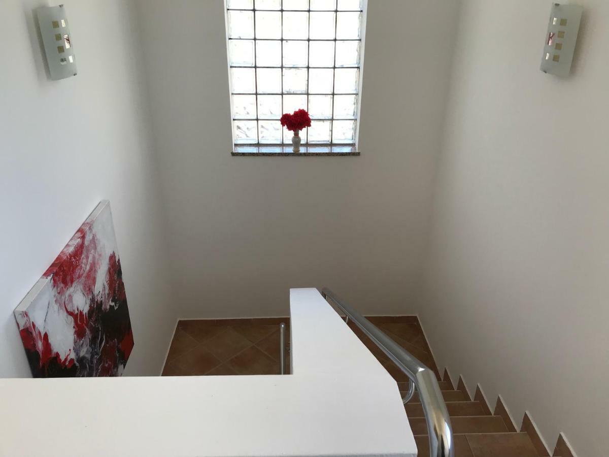 Apartment Barbara Bibinje Εξωτερικό φωτογραφία